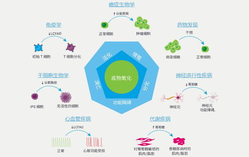 全新安捷倫Seahorse XF底物氧化壓力測試產(chǎn)品 推動自然科學(xué)研究與試驗(yàn)發(fā)展
